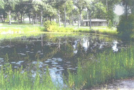 Crappie Pond with Pavilion in the Background 2007